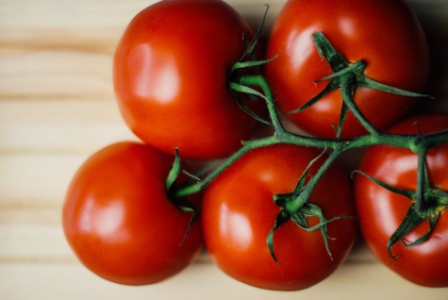 Organic Tomatoes Production Tips & Tricks