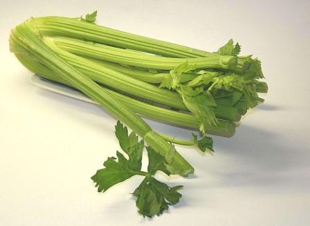Organic Celery Stalks Buying Tips
