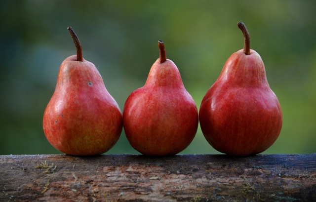 Pears Storage Tips