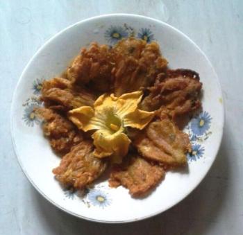 Pumpkin Flower Fritters Cooking Recipe